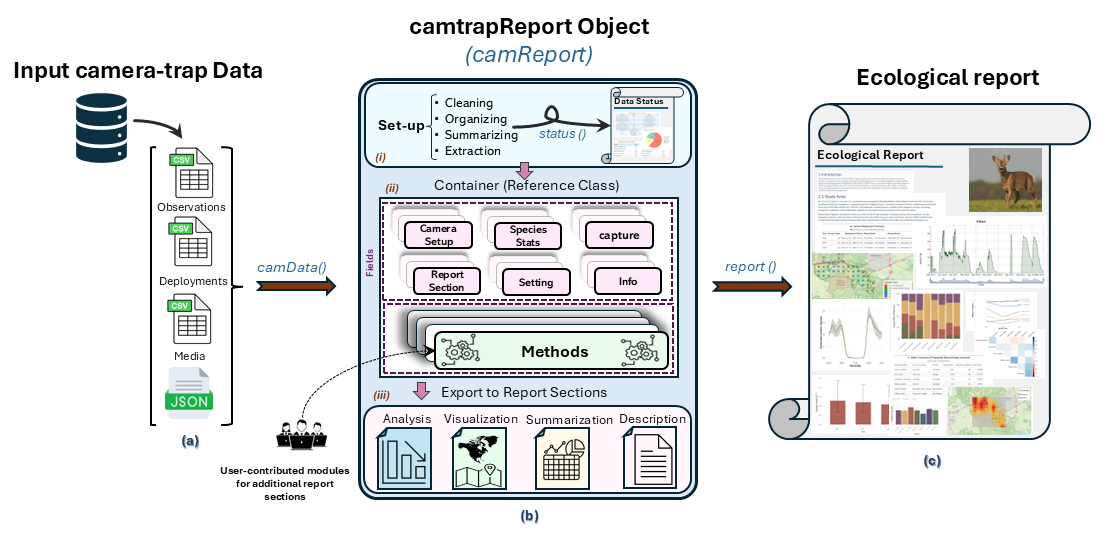 Figure 1. Overview of the camtrapReport workflow, from input camera-trap data to the central camReport object and final report outputs.
