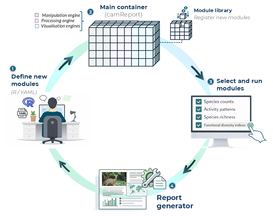 Figure 1. Modular workflow for defining, registering, selecting, and running report modules in *camtrapReport*.