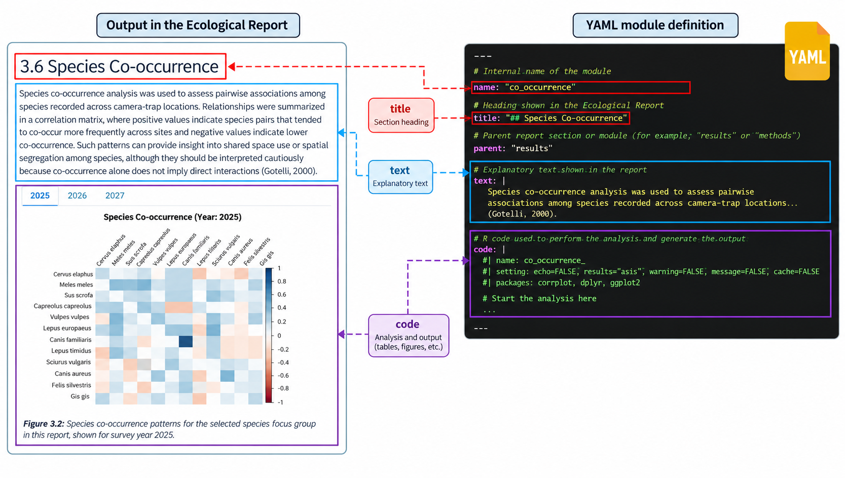 Diagram showing how the main components of a YAML report module correspond to the heading, explanatory text, and analytical output in the Ecological Report.