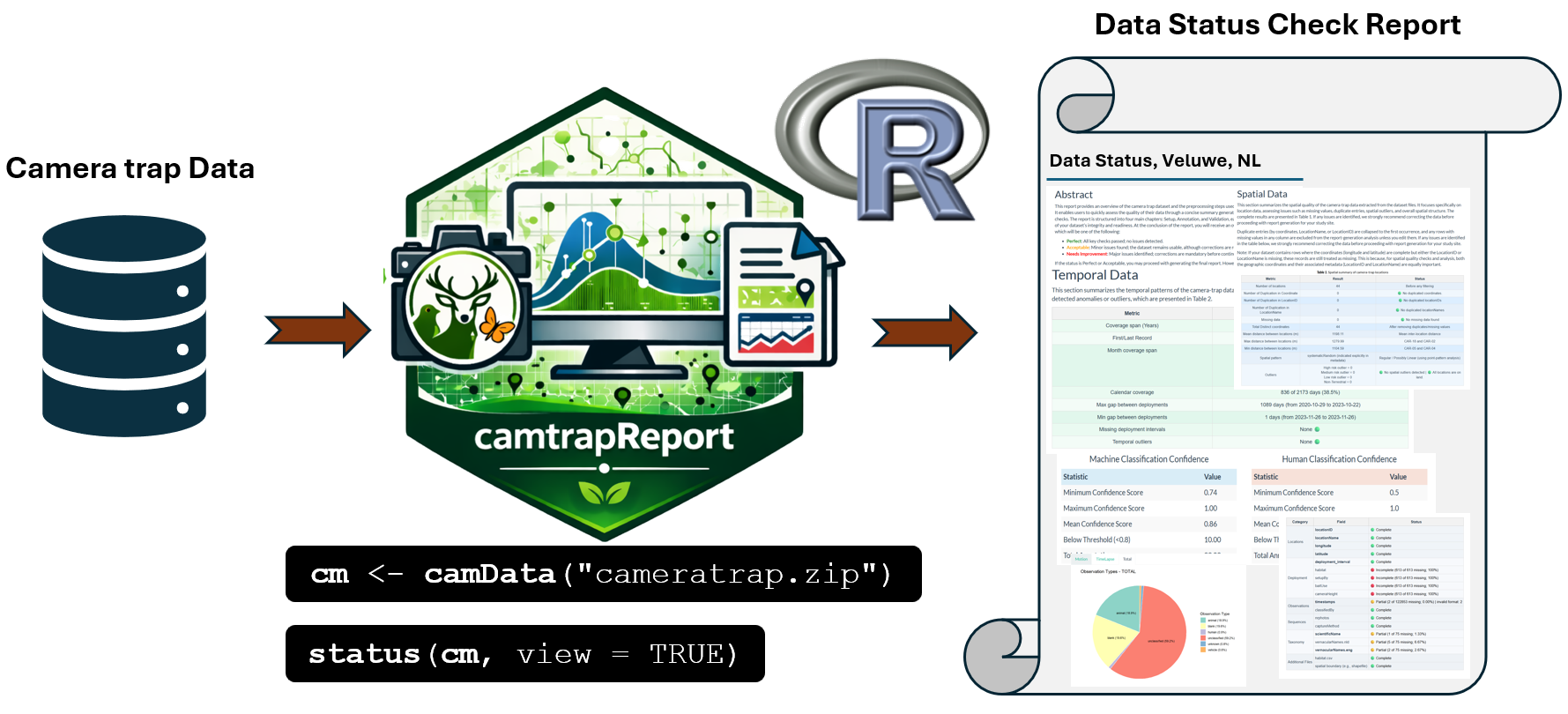 Figure 1. Workflow for generating a Data Status Report from camera-trap data using camtrapReport.