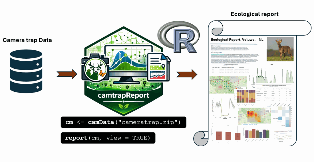 Workflow for generating an Ecological Report from camera-trap data using camtrapReport.