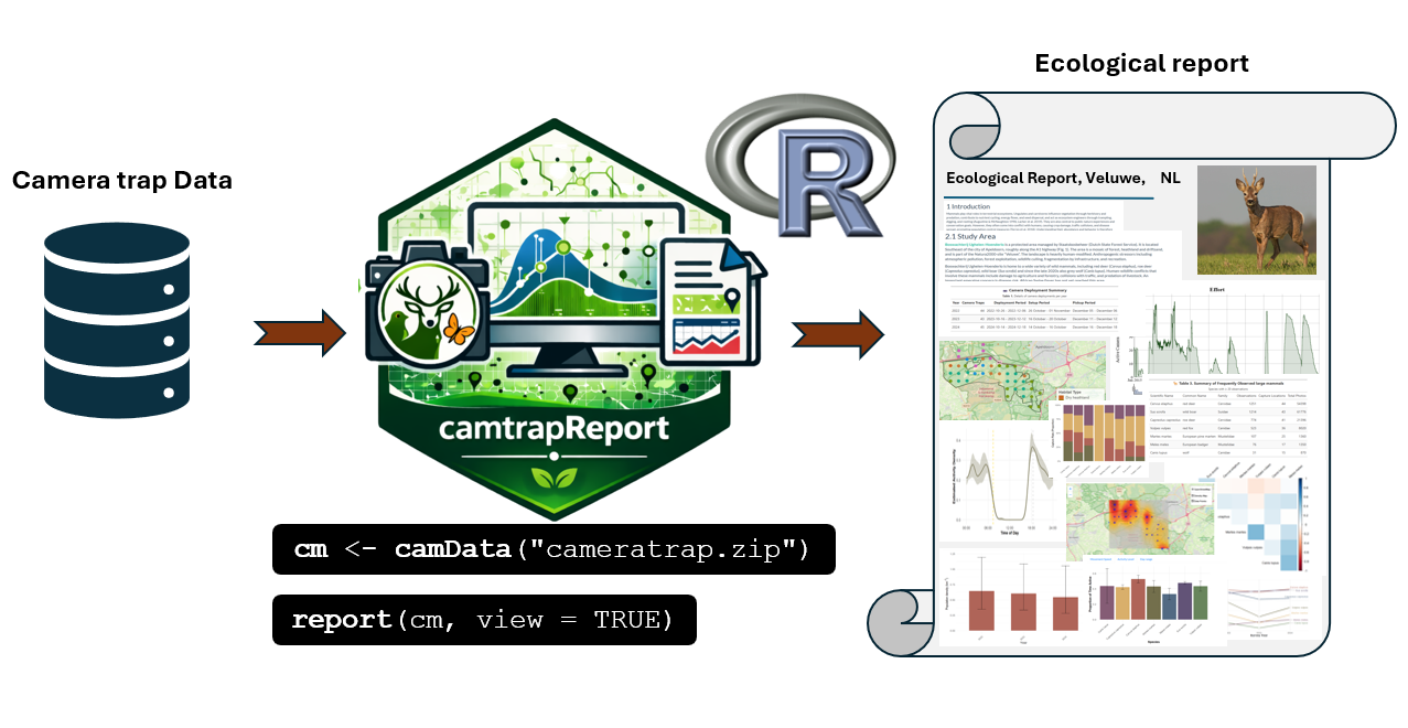 Figure 1. Workflow for generating an Ecological Report from camera-trap data using camtrapReport.