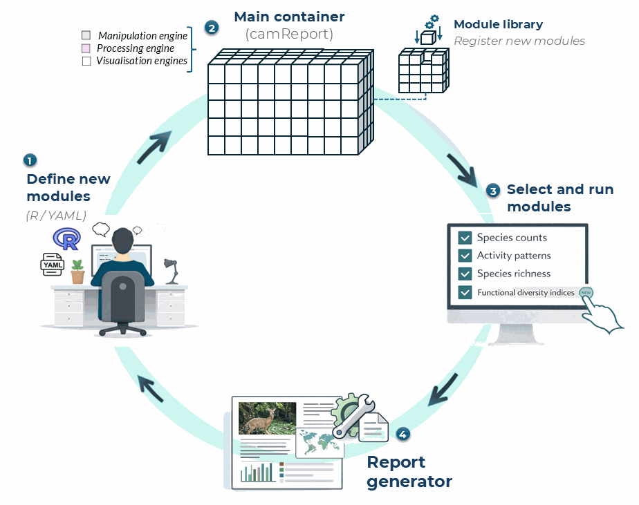 Modular workflow for defining, registering, selecting, and running report modules in camtrapReport.