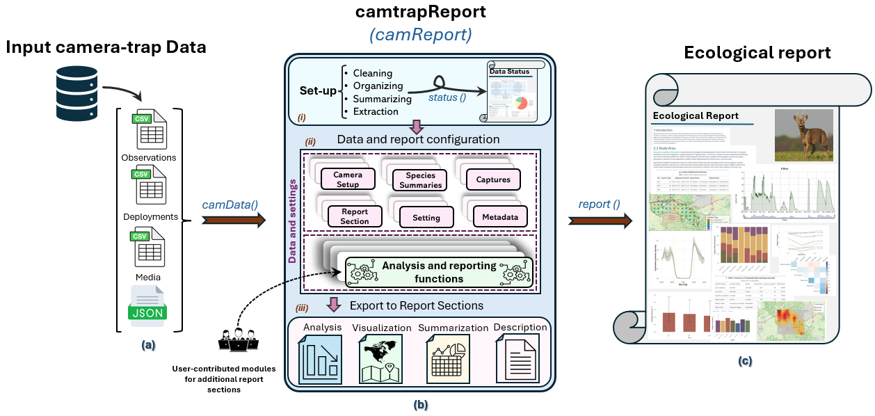 Workflow from Camtrap DP input through camtrapReport to the Data Status Check and Ecological Report